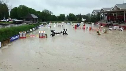 St Lo Poney Elite 100cm