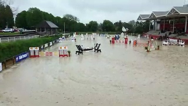 St Lo Poney Elite 100cm