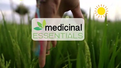 Get the Best CBD oil from Medicinal Essentials