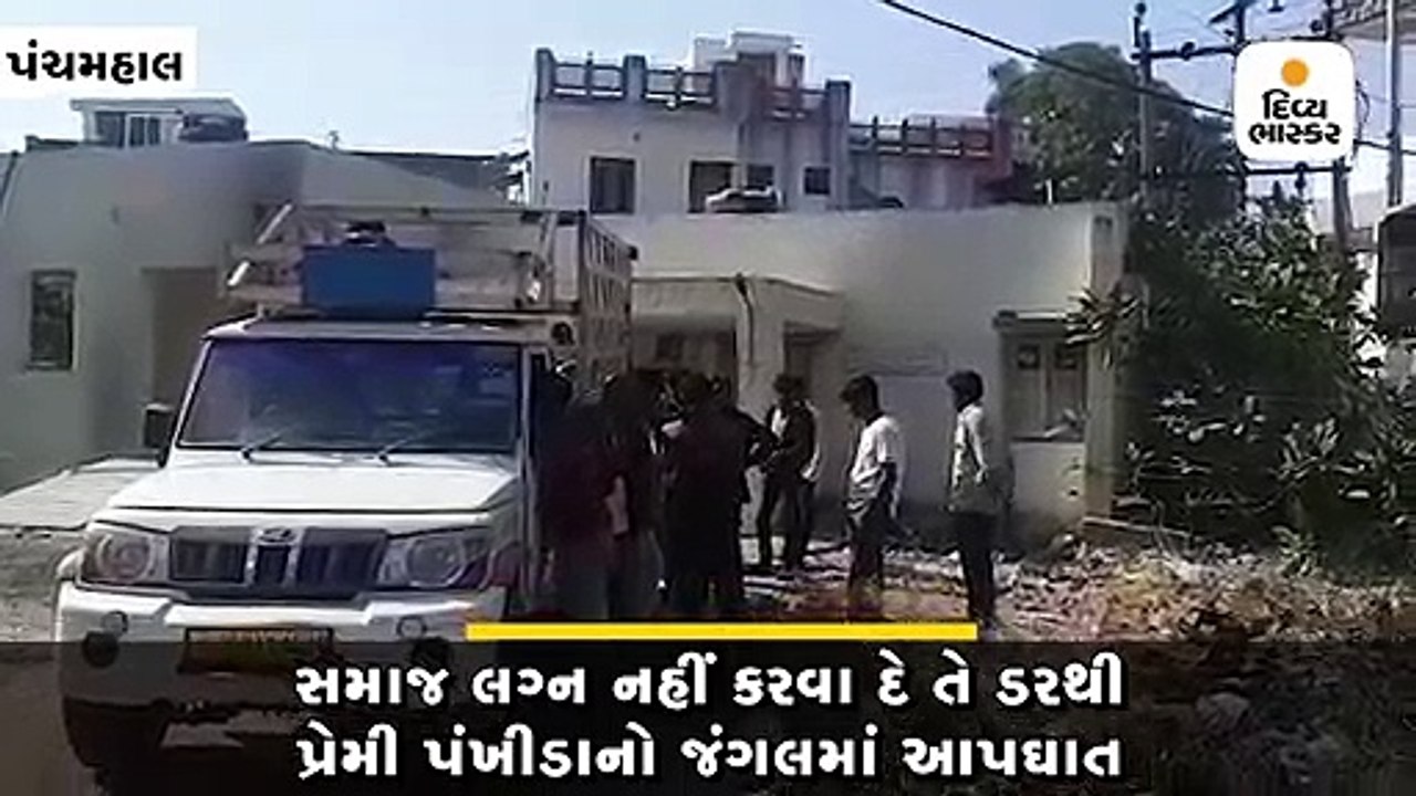 Divya bhaskar videos