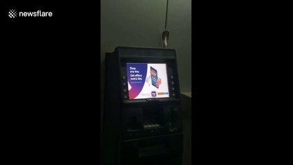 Indian man finds cobra on top of ATM machine