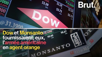 Vandana Shiva dénonce le "cartel du poison"