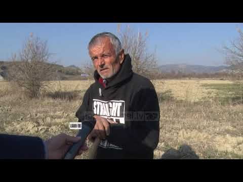 Kthim në kohën e belit për fermerët që s’kanë parà për naftë e pesticide - Top Channel Albania
