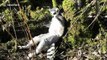 UK zoo lemurs enjoy February heatwave
