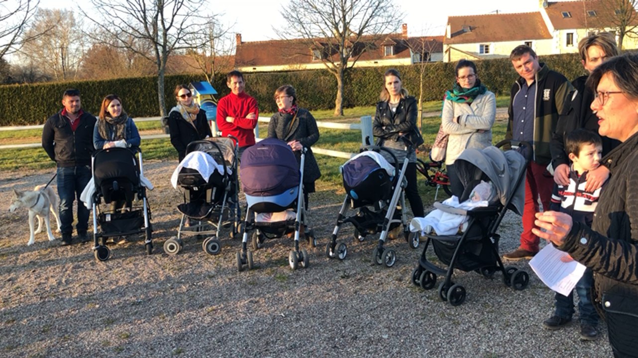 Près d’Argentan, des arbres plantés pour chaque naissance dans le village
