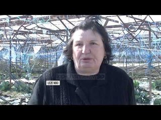 Era shkatërroi serrat në Lezhë, fermerët kërkojnë kompensim - Top Channel Albania - News - Lajme