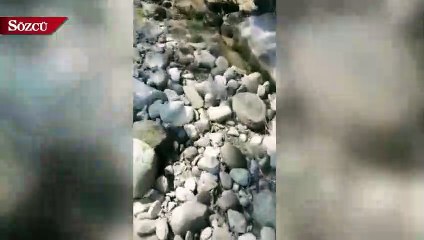 Pakistan, Hint pilotu serbest bırakacak