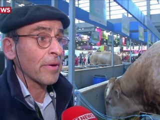 L'agriculture, premier secteur émetteur de gaz à effet de serre