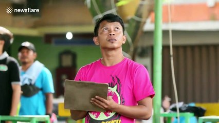 Caged to compete: Indonesia's bird singing competition