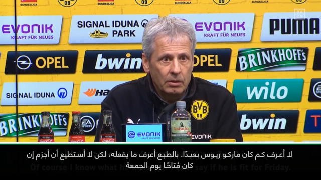 كرة قدم: الدوري الألماني: ريوس يحتاج إلى الثبات - مدرّب دورتموند فافر