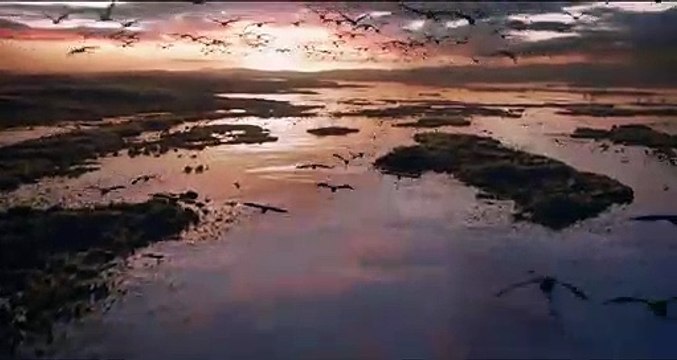 O Rei Leão - Novas Cenas - 18 de julho nos cinemas