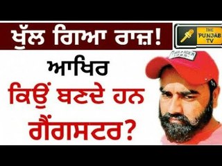 ਕਿੰਝ ਬਣਦੇ ਹਨ ਗੈਂਗਸਟਰ? How youngsters turns their views, who supports them? || The Punjab TV