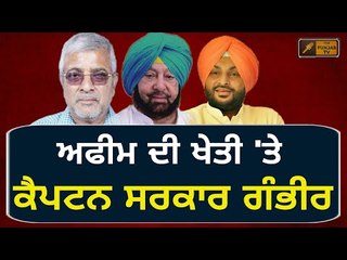 ਅਫੀਮ-ਭੁੱਕੀ 'ਤੇ ਕੈਪਟਨ ਸਰਕਾਰ ਹੋਈ ਗੰਭੀਰ Captain Amrinder Singh's Government to take decision