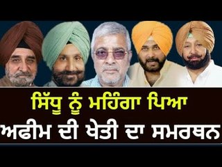 ਅਫੀਮ ਦੀ ਖੇਤੀ ਨੇ ਪਾਇਆ ਭੰਬਲਭੂਸਾ Navjot Sidhu in favour of Dr Dharamveer Gandhi but ministers not