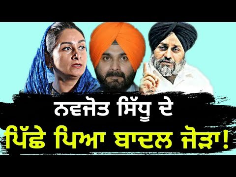 ਸਿੱਧੂ 'ਤੇ ਭੜਕੇ ਹਰਸਿਮਰਤ ਤੇ ਸੁਖਬੀਰ ਬਾਦਲ Harsimrat Badal and Sukhbir Badal on Navjot Sidhu