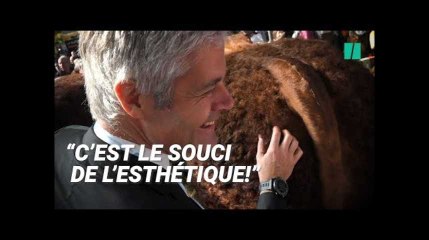 Wauquiez fait (encore) son show au salon de l'agriculture
