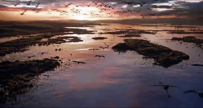 O Rei Leão - Novas Cenas - 18 de julho nos cinemas