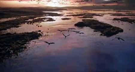 El Rey León 2019 - Nuevo spot para televisión