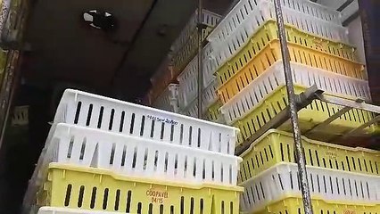 Fiat Punto de Cascavel se envolve em grave colisão de trânsito na BR-163