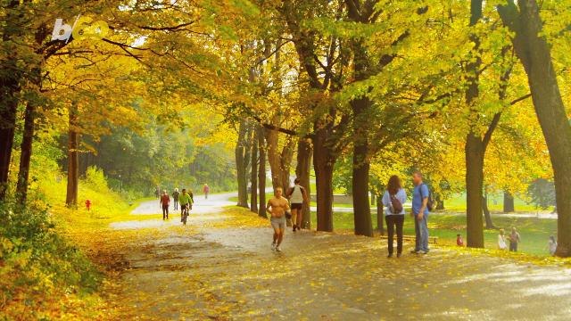 Being Around Nature in Childhood May Lower Risk of Mental Disorders in Adulthood