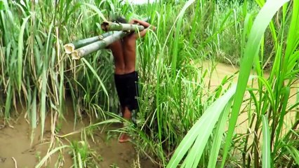 İLKEL YAŞAM ORMANDA BILDIRCIN  AVI SONRASI IZGARAVİYİ SEYİRLER