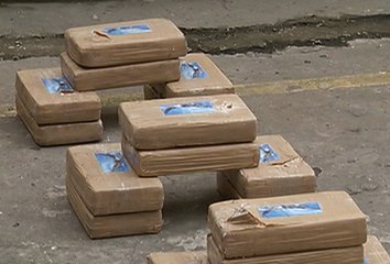Descubren casi 200 kilos de droga en el norte de Guayaquil