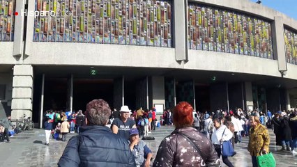 Vive con nosotros el culto que los mexicanos le rinden a la Guadalupe