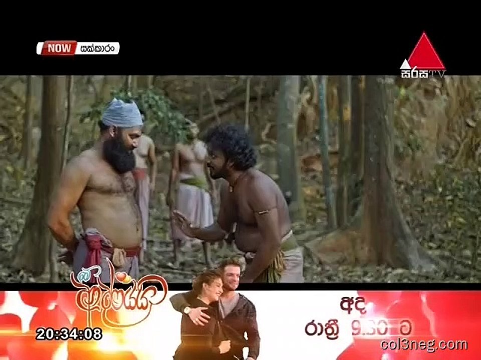 SKR25022019