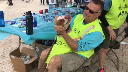 Dog Rescued With Severe Burns Meets The Vet Who Saved Him