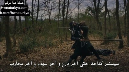 2_cut