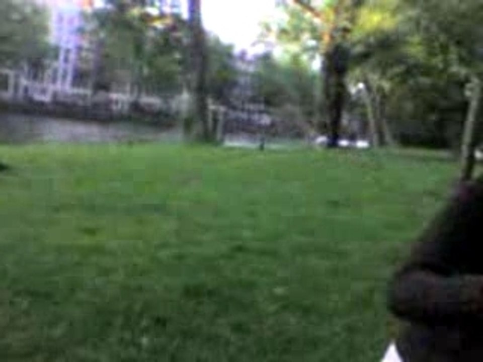 3 filles, 1 garçon et des champis à Amsterdam (2)