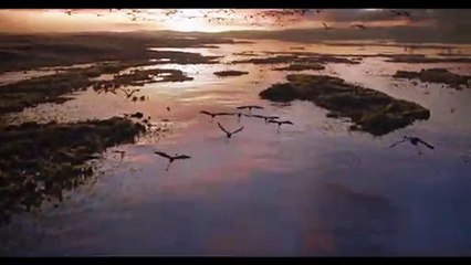 Le Roi Lion - Trailer