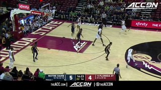 Notre Dame vs. Florida State Basketball Highlights (2018-19)