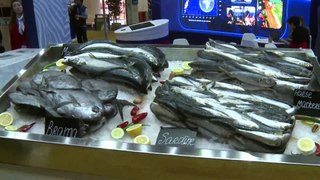 Int'l fisheries fair closed in Morocco