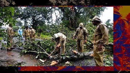 Cyclone Titli_ Heavy destruction caused in Andhra Pradesh and Odissa amid heavy