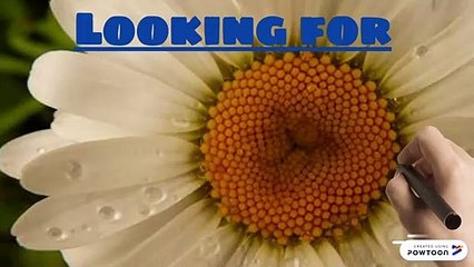 Trimming Services in Calgary