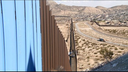 Democrats challenge Trump's state of emergency move over wall