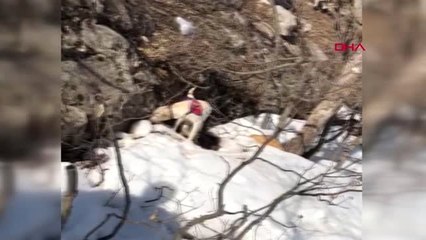 Siirt Eruh'ta PKK'lı Teröristlerin 3 Sığınağı İmha Edildi