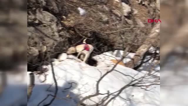 Siirt Eruh'ta PKK'lı Teröristlerin 3 Sığınağı İmha Edildi