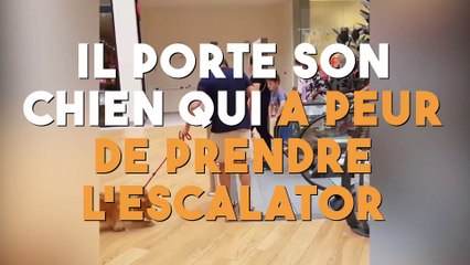 Il porte son chien qui a peur de prendre l'escalator !