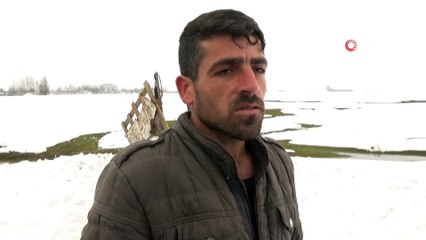 İngiliz atı için tenekeden start kabini yaptılar