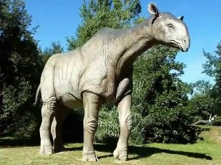 World's Biggest Animals Ever - Amazing ( 480 X 640 )