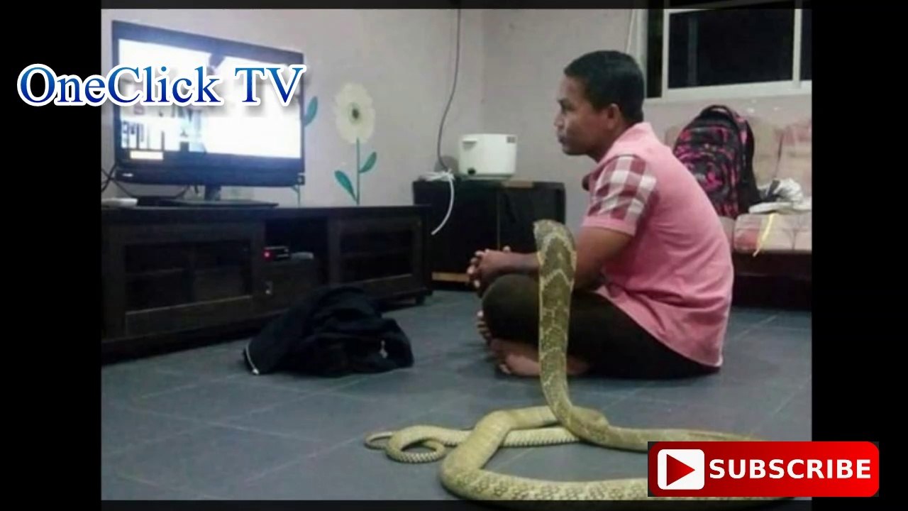 AFUNGA NDOA NA NYOKA/HE MARRIES A SNAKE