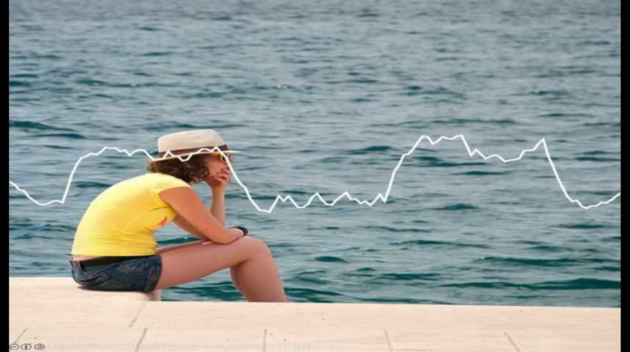 Minute Papillon! Flash info midi  - 26 février 2019