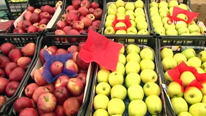 Tanzim Çadırlarında Nohut Ve Elma Satışı Başladı