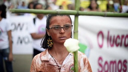 Brazil marks one month after deadly mine dam disaster