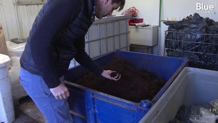 Cette startup récupère le marc de café des bistrots parisiens pour faire pousser des champignons