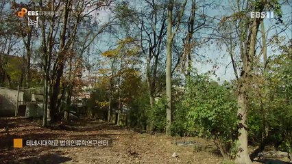 EBS 다큐프라임 - Docuprime_뼈 (뼈, 남겨진 모든것)_#002