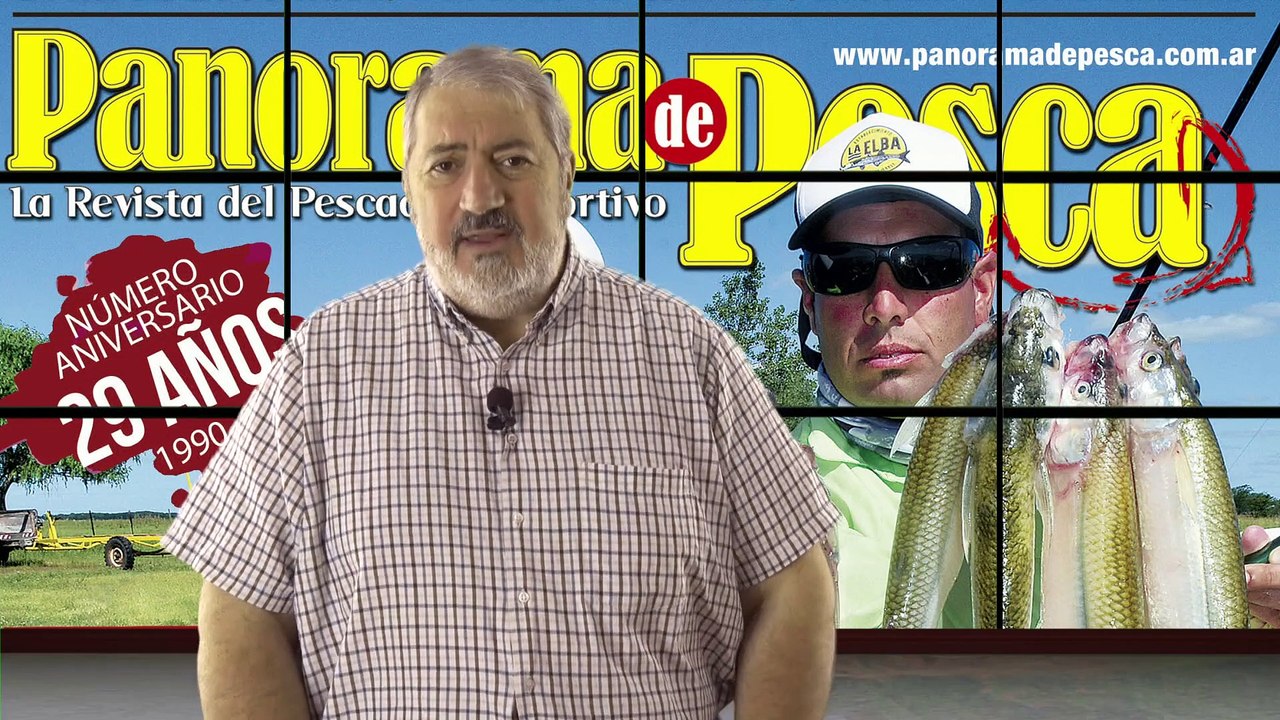 Panorama TV 424