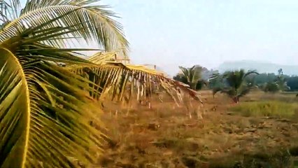 Only Rs 1000 per yard Vizag Farm Lands Charan Group Tattabanda Project